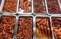 淄博哪里可以學章魚小丸子技術(shù)？這些地方值得關(guān)注！