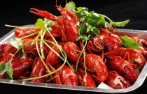 73 元做小龍蝦擺攤，6 元 / 盒卻遇城管？