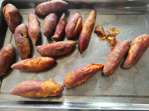 地攤烤地瓜培訓(xùn)靠譜嗎？手把手教你學(xué)真技術(shù)，寒冬夜市也能火出圈！